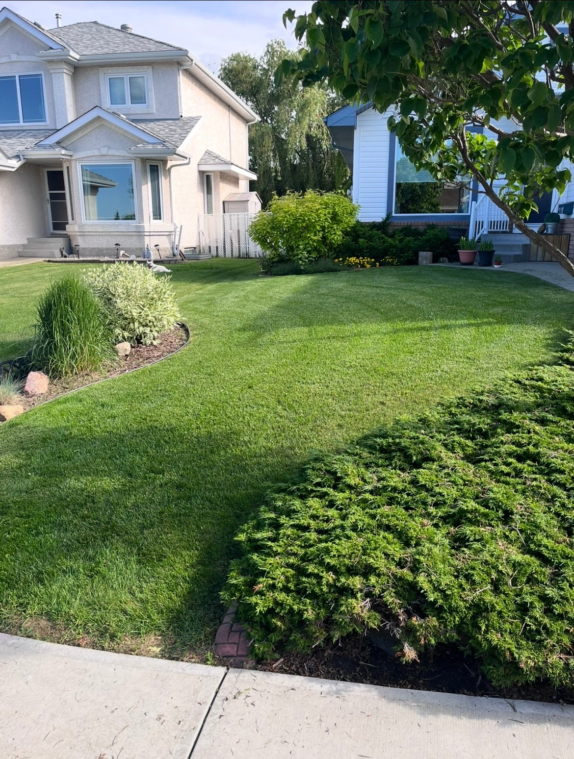 Free Lawn Care Quote