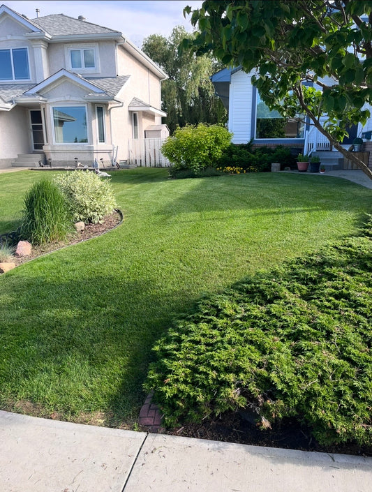 Free Lawn Care Quote